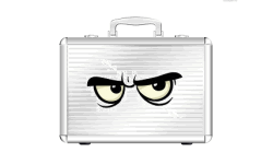 Sneaky Briefcase