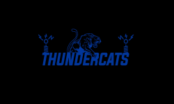 The Thundercats