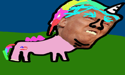 Trump's Ponies image