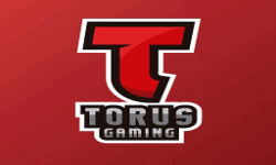 Torus Gaming
