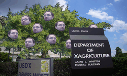 United States Department of Xagriculture