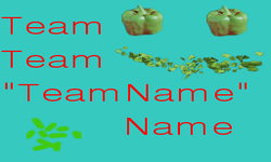 Team Team "Team Name" Name