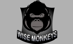 Wise Monkeys image