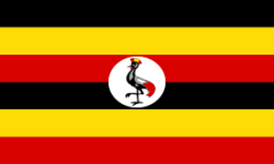 The Ugandan Peoples Defence Force