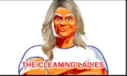 Cleaning Ladies image
