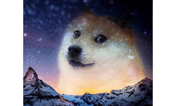 Dream Doge image