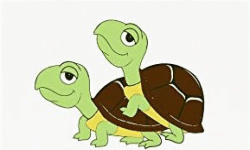 Glad Tortoises image
