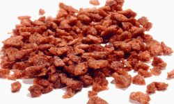 baconbits image