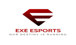EXE-eSports image