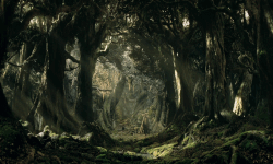 Treebeard image