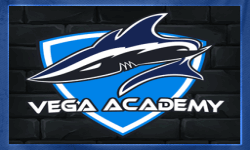 Vega Academy image