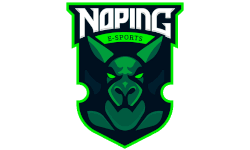 NoPing Esports