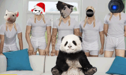 5 Caregivers and a Panda image
