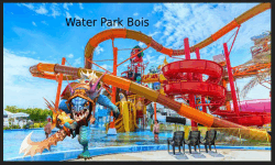 Water Park Bois image