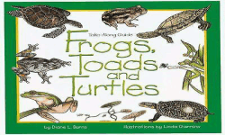 Toads and Turtles image