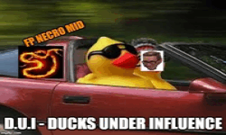 Ducks Under Influence image