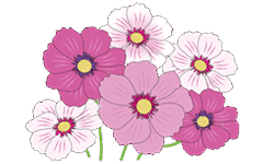 flowers image