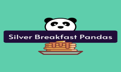 Silver Breakfast Pandas image