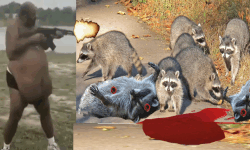 Raccoon Slayers image