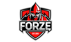 forZe eSports image