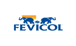 Fevicol image