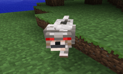 angry minecraft dogs image