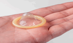 Condom Nation image