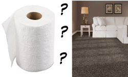 What's the difference between carpet and toilet  image