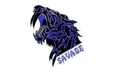 Savage Sabres image