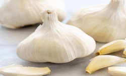 Garlic Sniffers image