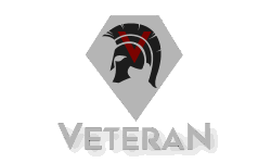 Team Veteran image