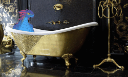 Lizard in a bath image
