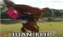 Juan Flip