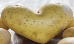 Friendship Kartoffel