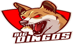 Big Dingoz image