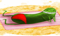 Zucchini Bikinis image