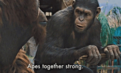 Ape Dota United