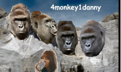4Monkey1Danny image