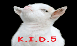 K.I.D.5 image