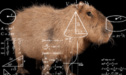 Mathematical Capybara