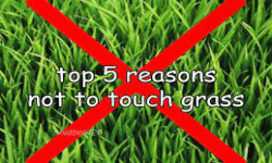 eat ass touch grass