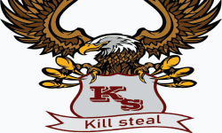 Kill Steal  image