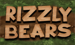 Rizzly Bears image