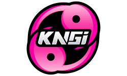 Team KNGI SA