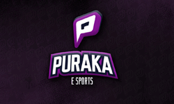 Puraka Esports image
