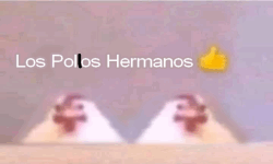 Los Polos Hermanos image