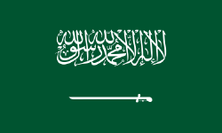 Saudi Arabia image