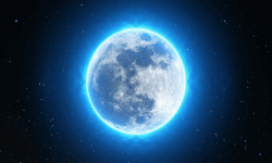Moonlight Covenant