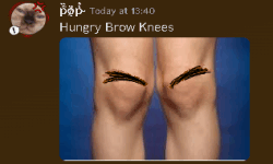 Hungry Brow Knees