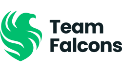 Team Falcons image